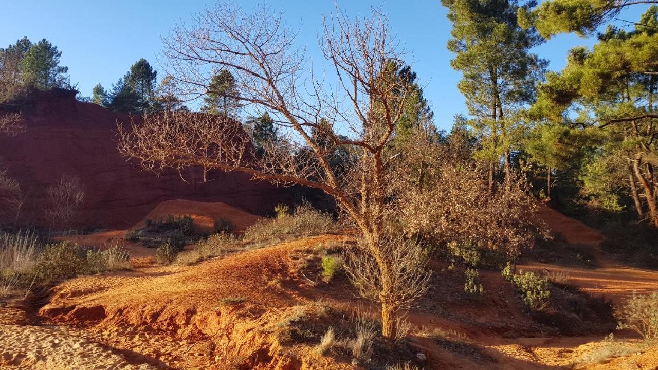 Gite Hanna En Luberon - Le Boisset De St Martin De Castillon Saint-Martin-de-Castillon Kültér fotó