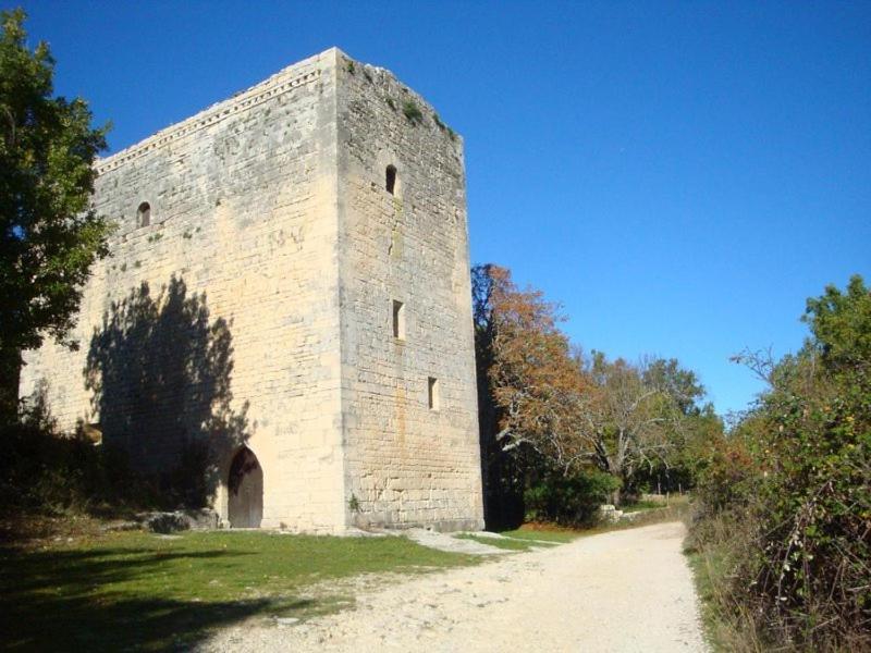 Gite Hanna En Luberon - Le Boisset De St Martin De Castillon Saint-Martin-de-Castillon Kültér fotó