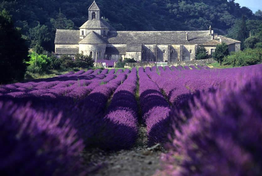 Gite Hanna En Luberon - Le Boisset De St Martin De Castillon Saint-Martin-de-Castillon Kültér fotó